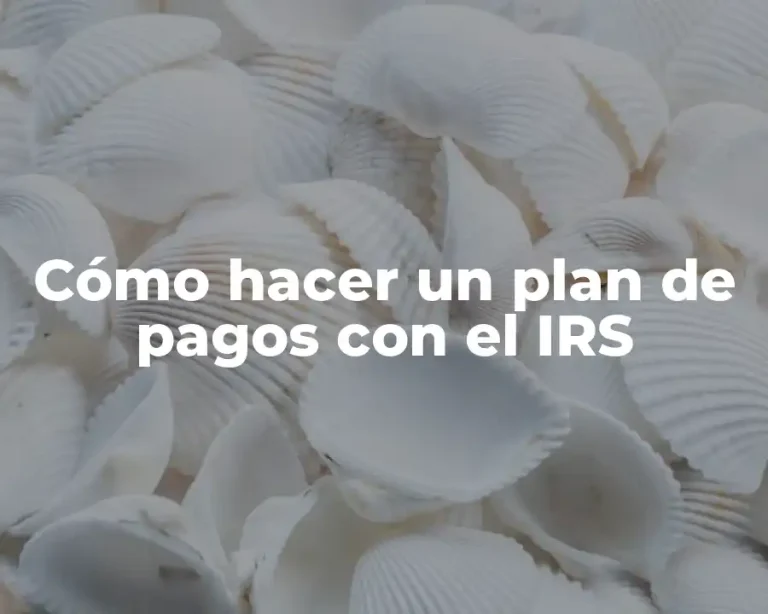 Cómo hacer un plan de pagos con el IRS