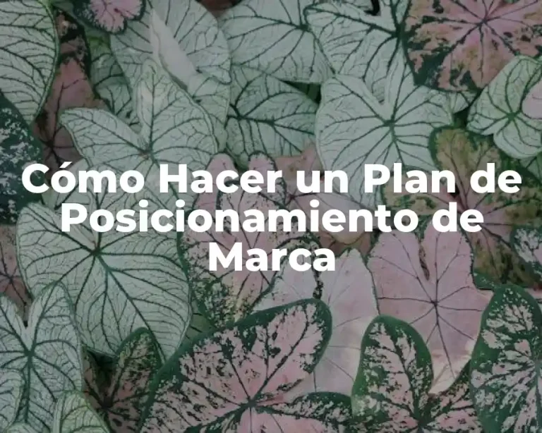 Cómo Hacer un Plan de Posicionamiento de Marca