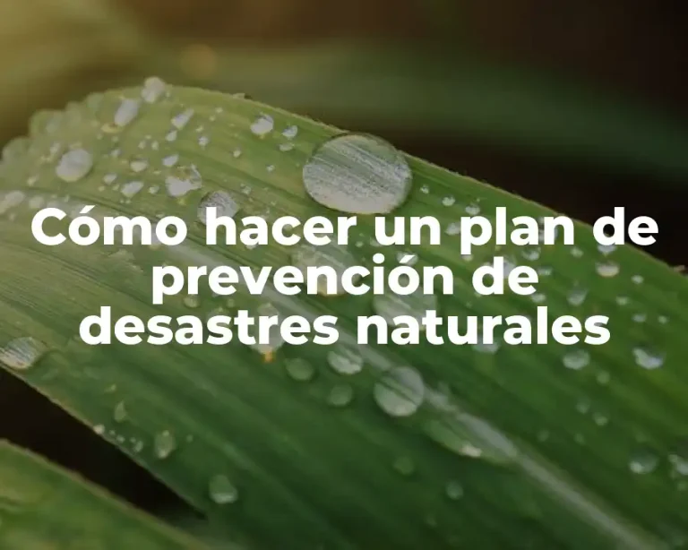 Cómo hacer un plan de prevención de desastres naturales