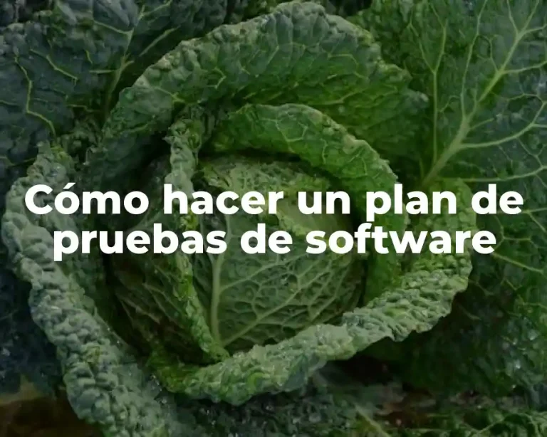 Cómo hacer un plan de pruebas de software