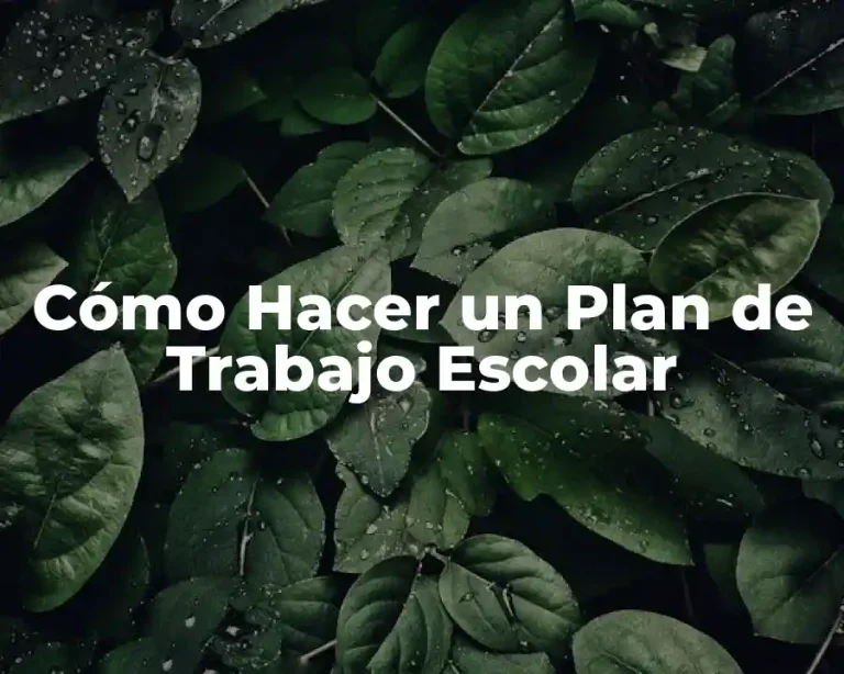 Cómo Hacer un Plan de Trabajo Escolar
