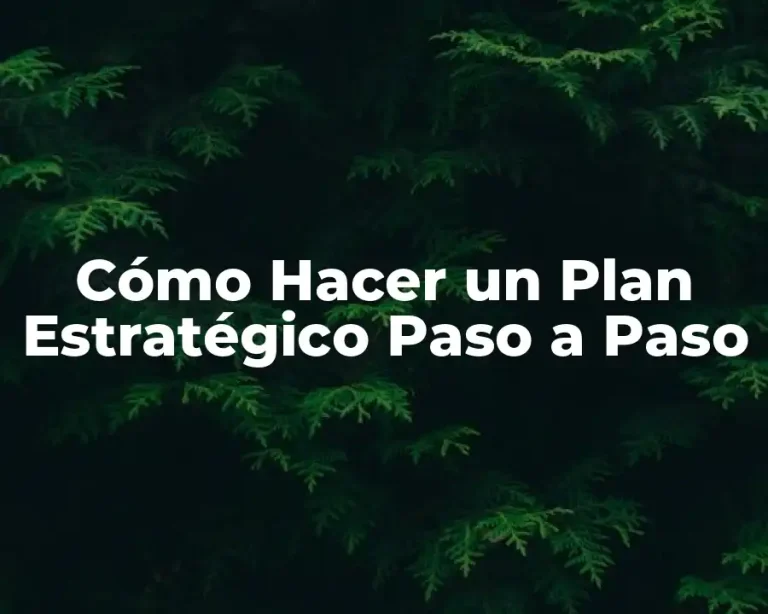 Cómo Hacer un Plan Estratégico Paso a Paso