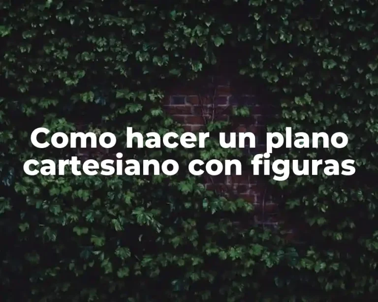 Como hacer un plano cartesiano con figuras