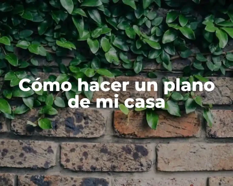 Cómo hacer un plano de mi casa
