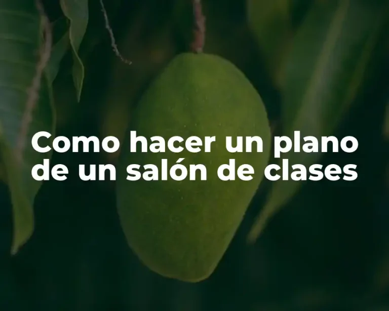 Como hacer un plano de un salón de clases
