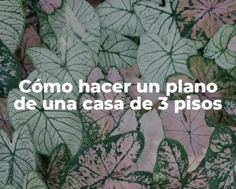 Cómo hacer un plano de una casa de 3 pisos