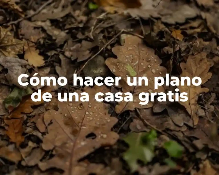 Cómo hacer un plano de una casa gratis
