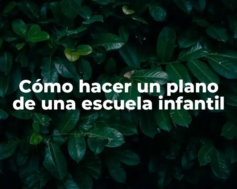 Cómo hacer un plano de una escuela infantil
