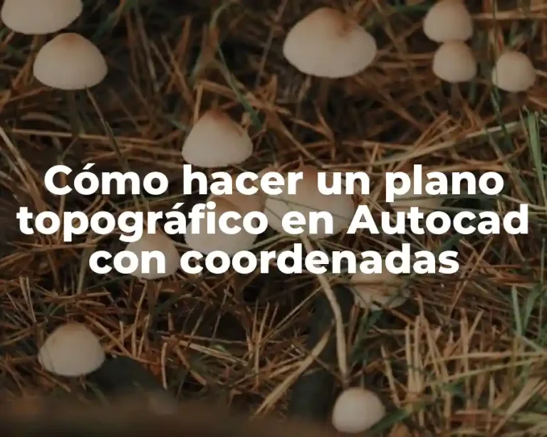 Cómo hacer un plano topográfico en Autocad con coordenadas