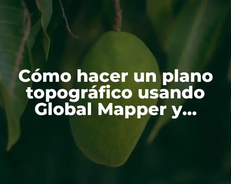 Cómo hacer un plano topográfico usando Global Mapper y SketchUp