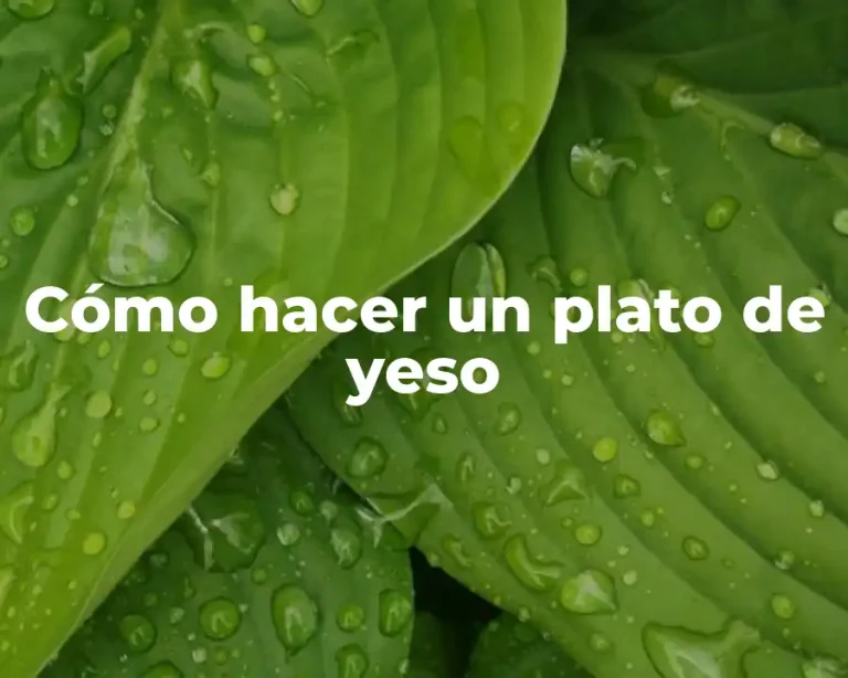 Cómo hacer un plato de yeso