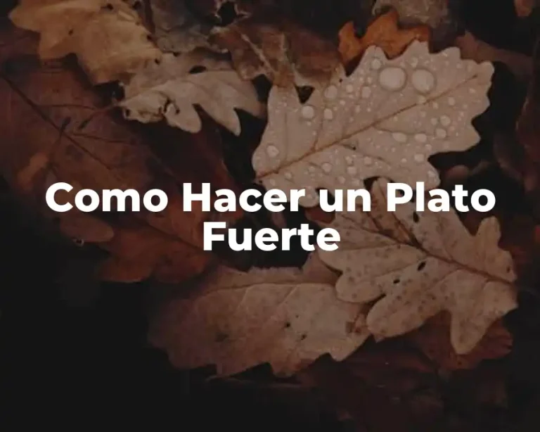 Como Hacer un Plato Fuerte