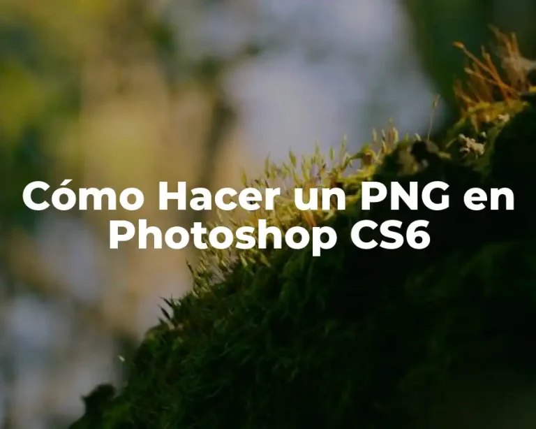 Cómo Hacer un PNG en Photoshop CS6