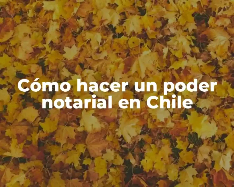 Cómo hacer un poder notarial en Chile