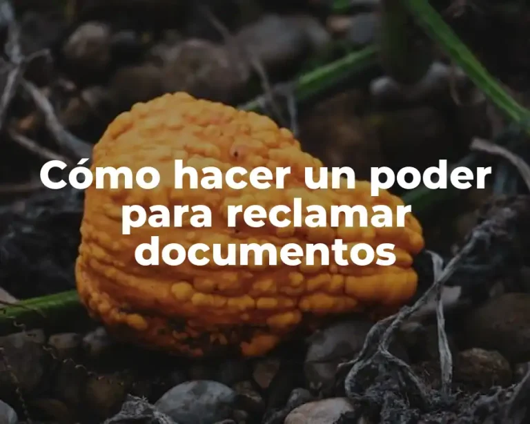 Cómo hacer un poder para reclamar documentos