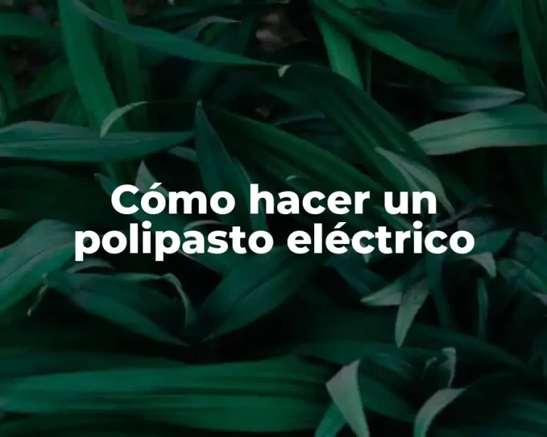 Cómo hacer un polipasto eléctrico