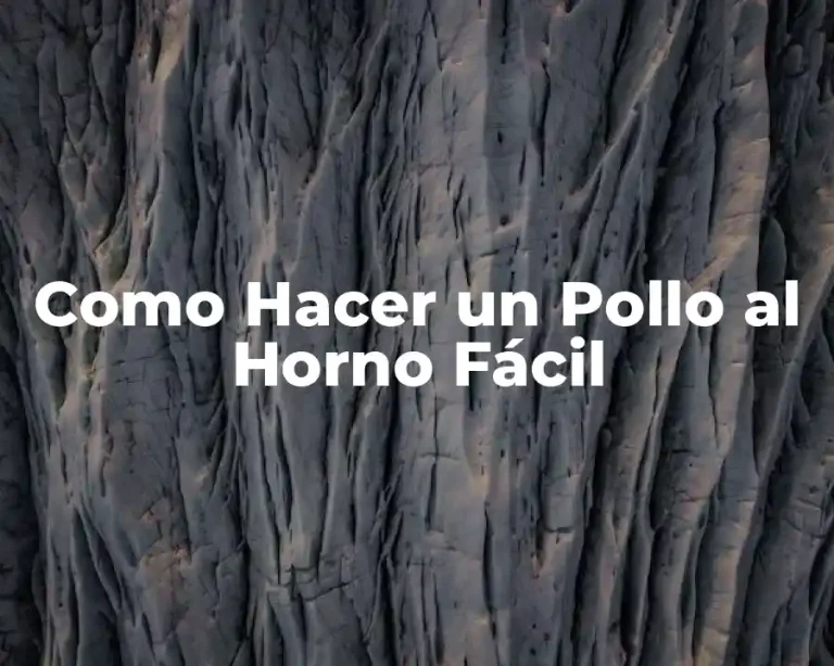 Como Hacer un Pollo al Horno Fácil