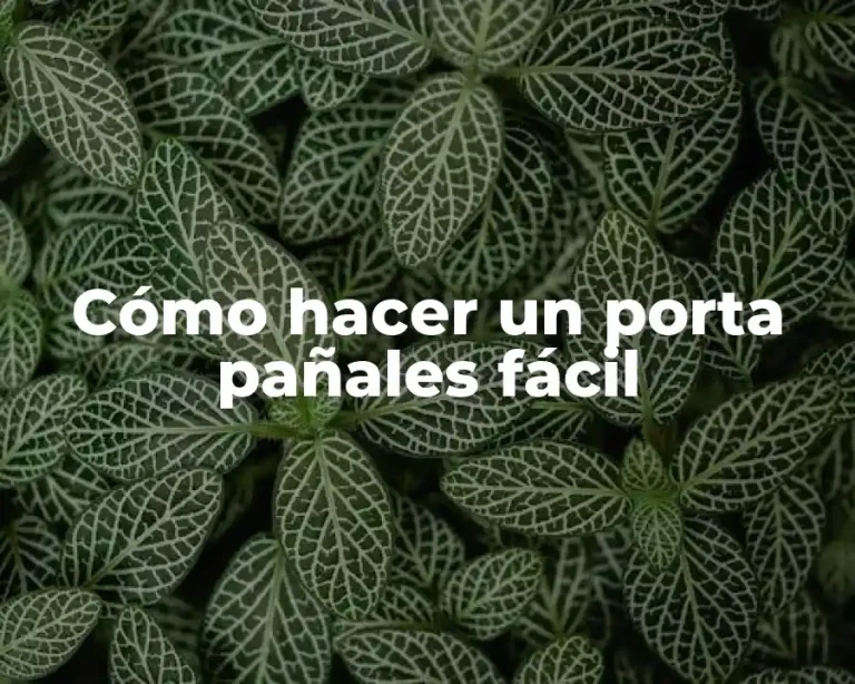Cómo hacer un porta pañales fácil