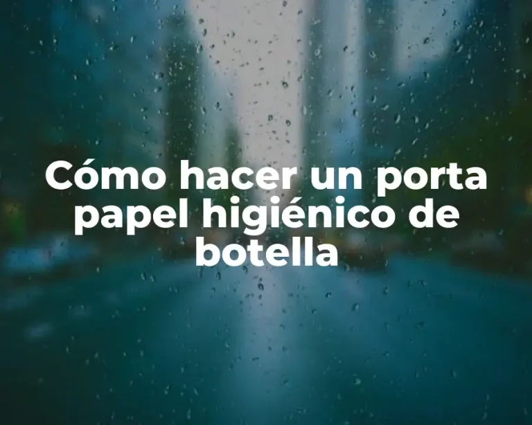 Cómo hacer un porta papel higiénico de botella