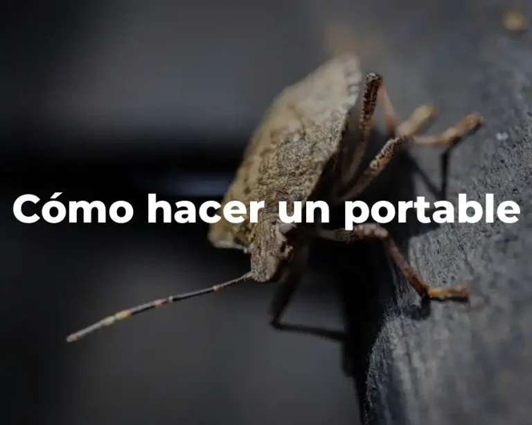 Cómo hacer un portable