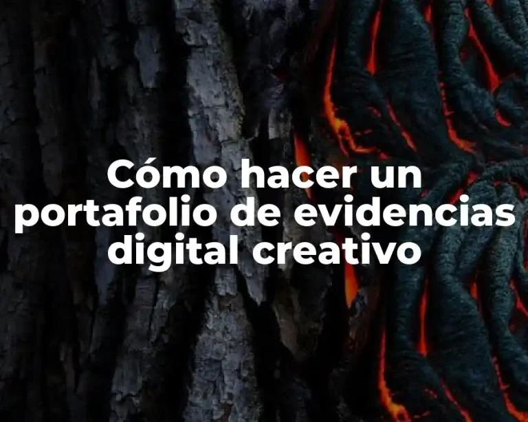 Cómo hacer un portafolio de evidencias digital creativo