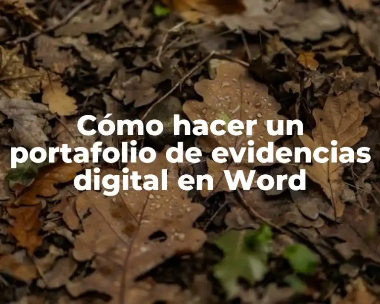 Cómo hacer un portafolio de evidencias digital en Word