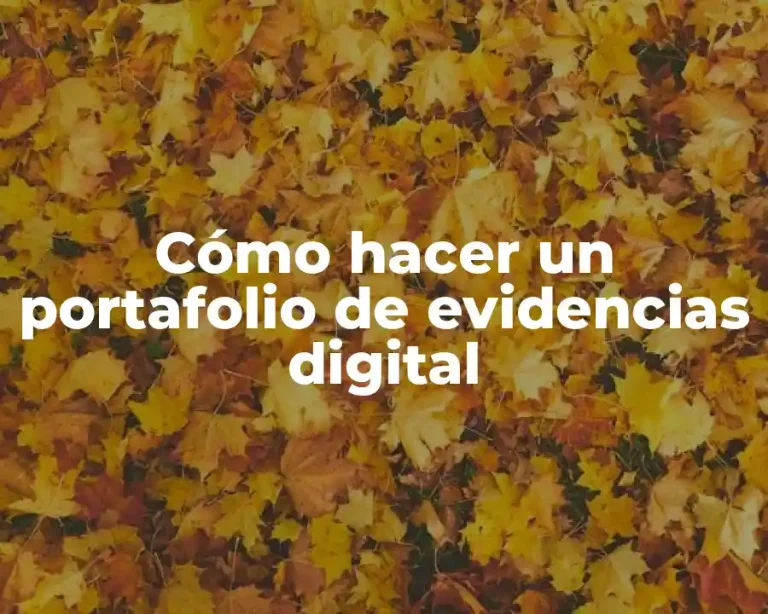 Cómo hacer un portafolio de evidencias digital