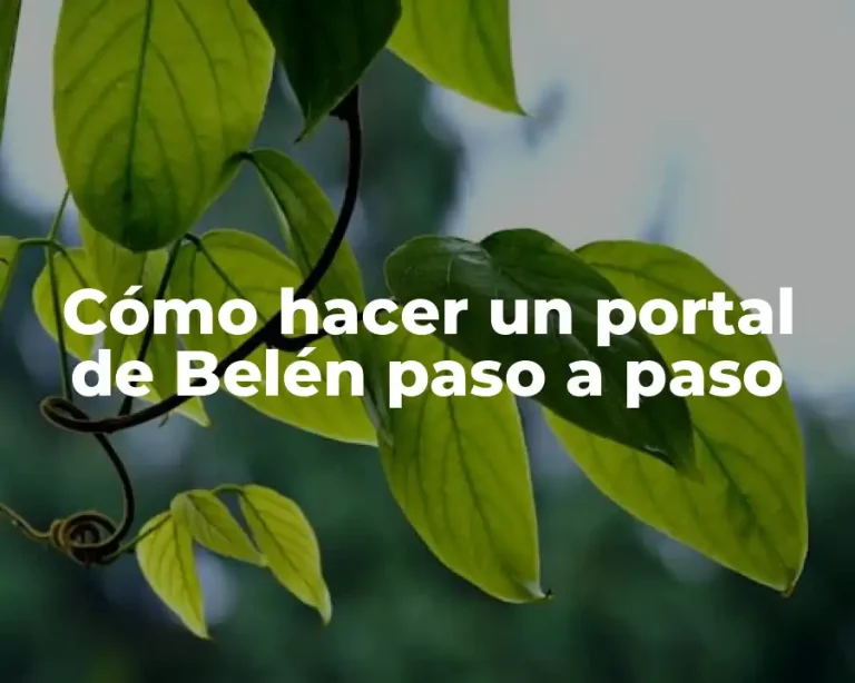 Cómo hacer un portal de Belén paso a paso