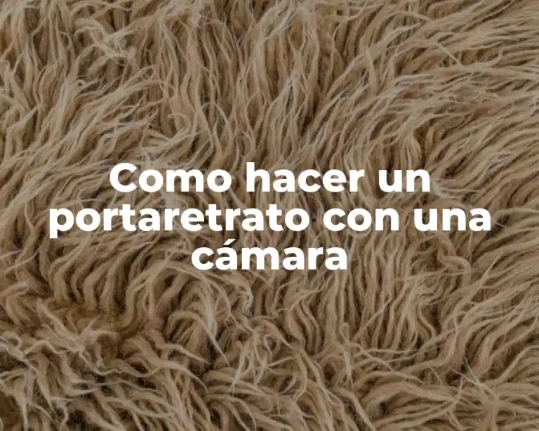 Como hacer un portaretrato con una cámara