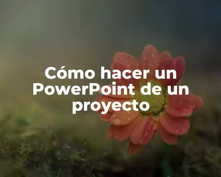 Cómo hacer un PowerPoint de un proyecto