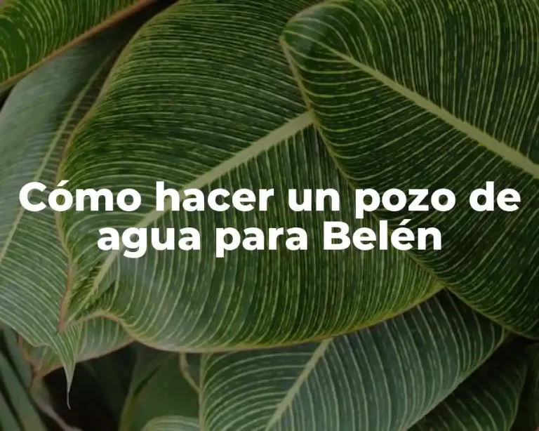 Cómo hacer un pozo de agua para Belén
