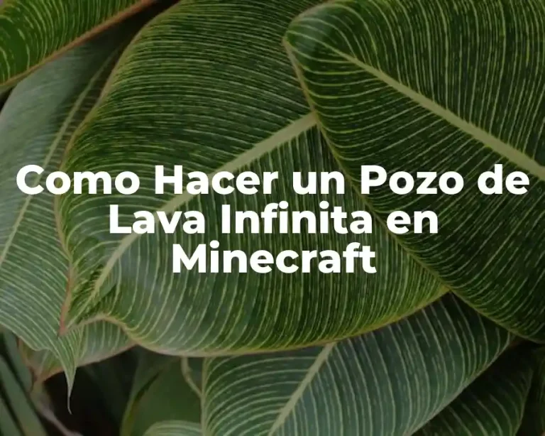 Como Hacer un Pozo de Lava Infinita en Minecraft