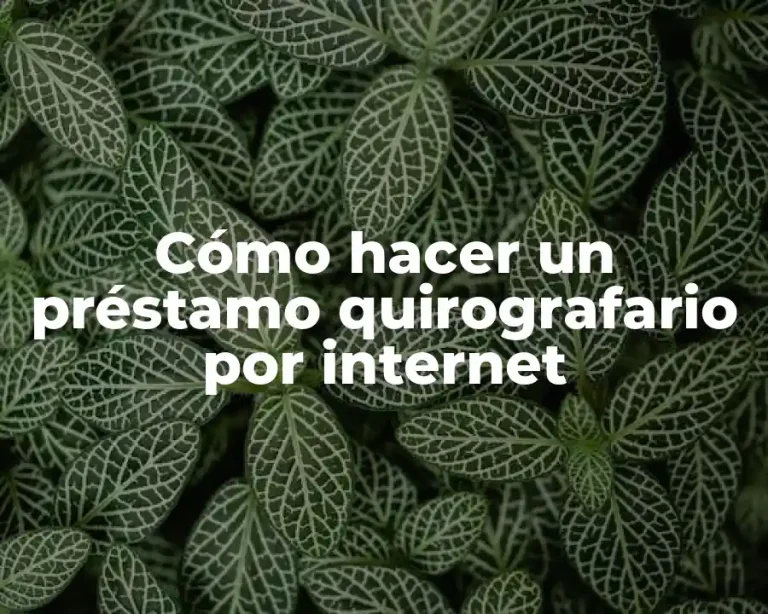 Cómo hacer un préstamo quirografario por internet