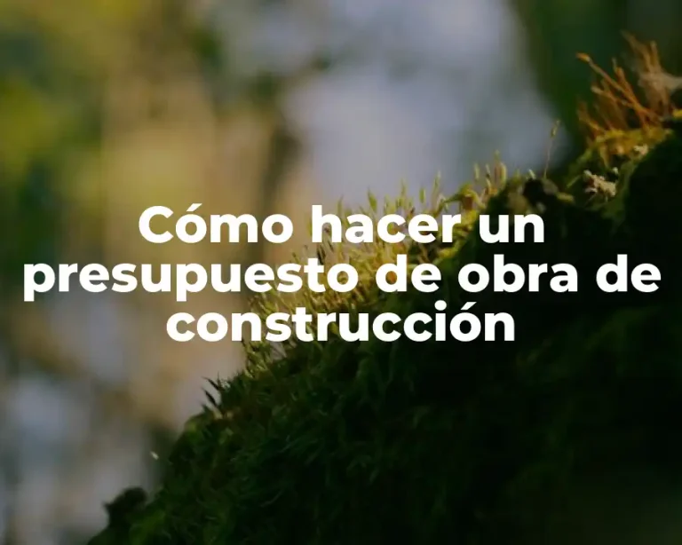 Cómo hacer un presupuesto de obra de construcción