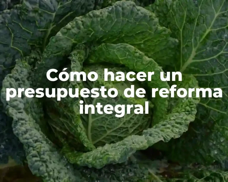 Cómo hacer un presupuesto de reforma integral