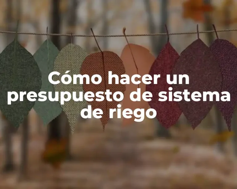 Cómo hacer un presupuesto de sistema de riego