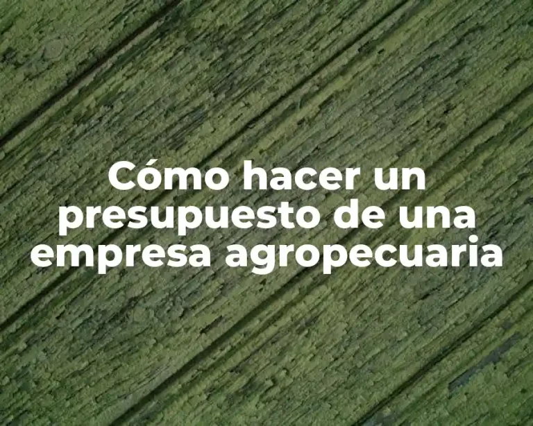 Cómo hacer un presupuesto de una empresa agropecuaria