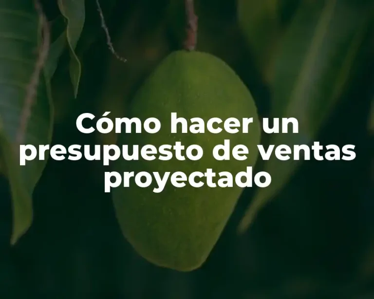 Cómo hacer un presupuesto de ventas proyectado