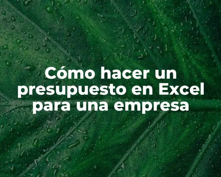 Cómo hacer un presupuesto en Excel para una empresa