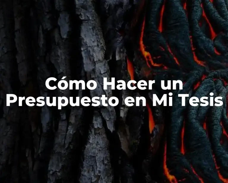 Cómo Hacer un Presupuesto en Mi Tesis