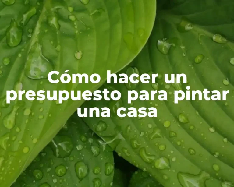 Cómo hacer un presupuesto para pintar una casa