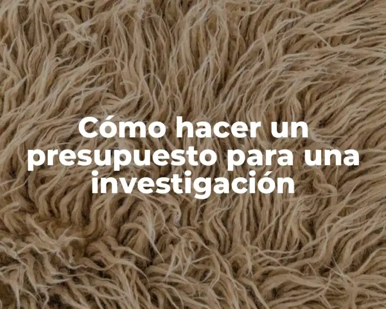 Cómo hacer un presupuesto para una investigación