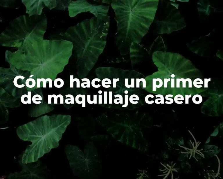 Cómo hacer un primer de maquillaje casero