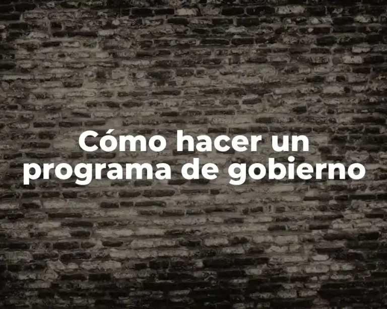 Cómo hacer un programa de gobierno