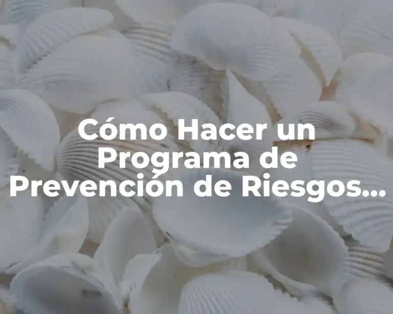 Cómo Hacer un Programa de Prevención de Riesgos Laborales