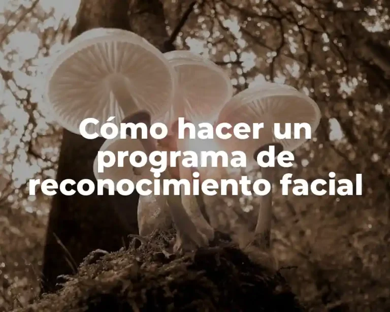 Cómo hacer un programa de reconocimiento facial