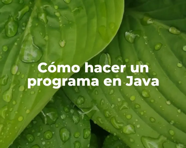 Cómo hacer un programa en Java