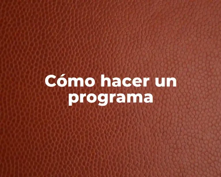 Cómo hacer un programa