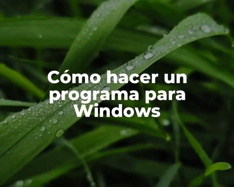 Cómo hacer un programa para Windows