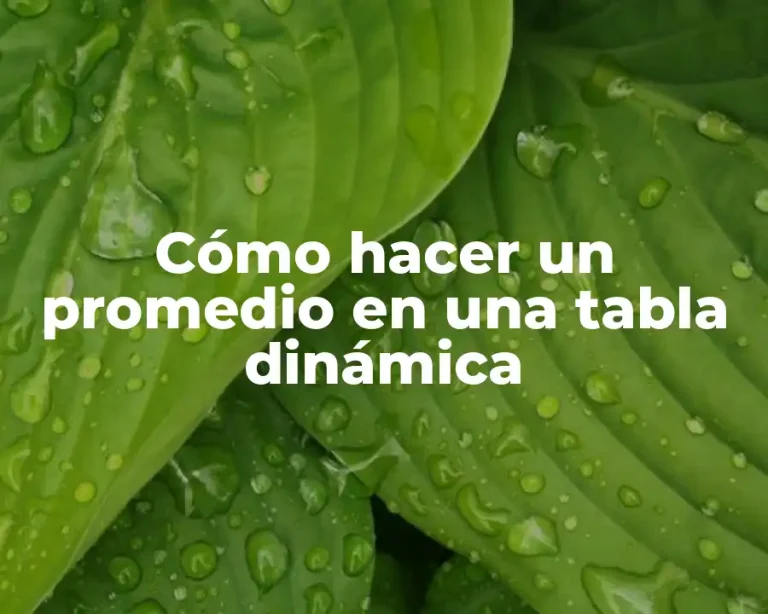 Cómo hacer un promedio en una tabla dinámica